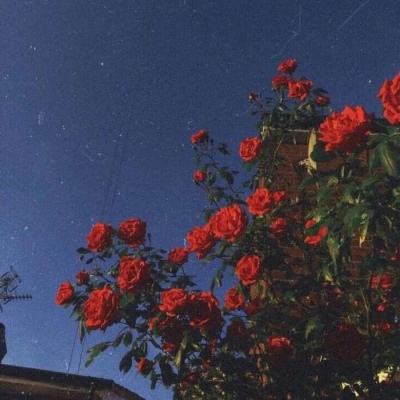 南宫体育app下载手机app下载截图