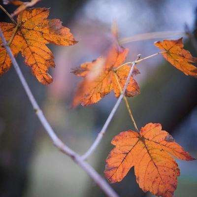 金年会手机app下载